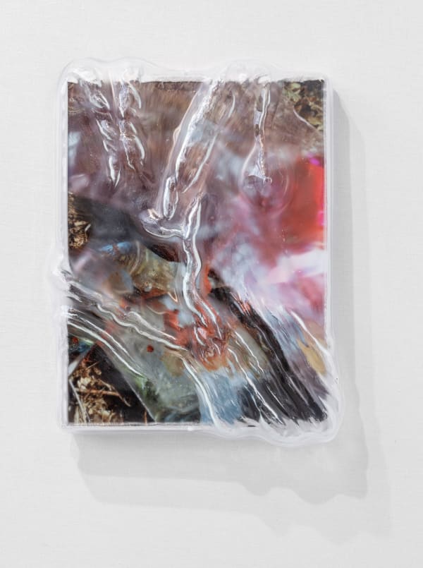 Lucile Boiron, Fricon, Fricasse! III, 2024