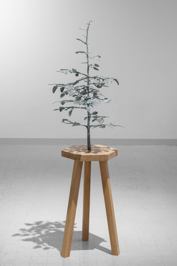 Mathieu Chavaren, Tomato plant #2, 2024