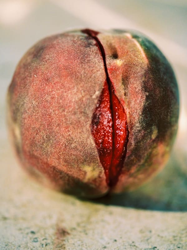 Lucile Boiron, Untitled, Bouche, 2024