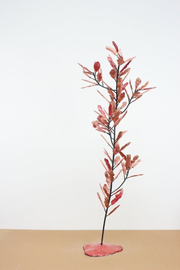 Victor Levai, La rose rouge, 2020