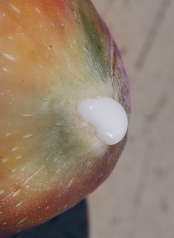 Lucile Boiron, Untitled, Birth, 2021