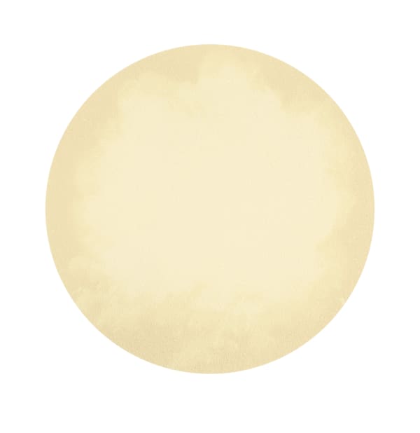 Champagne coloured circle with diamond dust