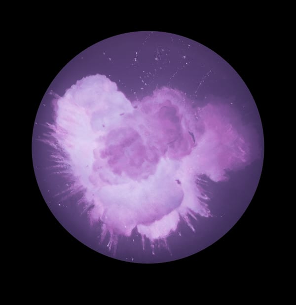 Purple explosion of colour