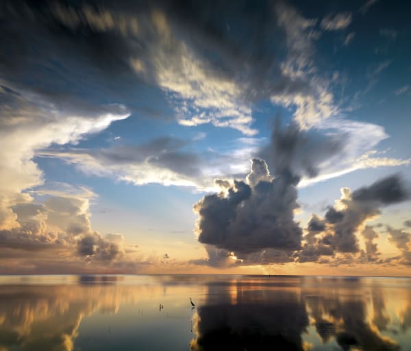 sunset over still water with clouds reflecting onto surface of water and solitary bird walking across water