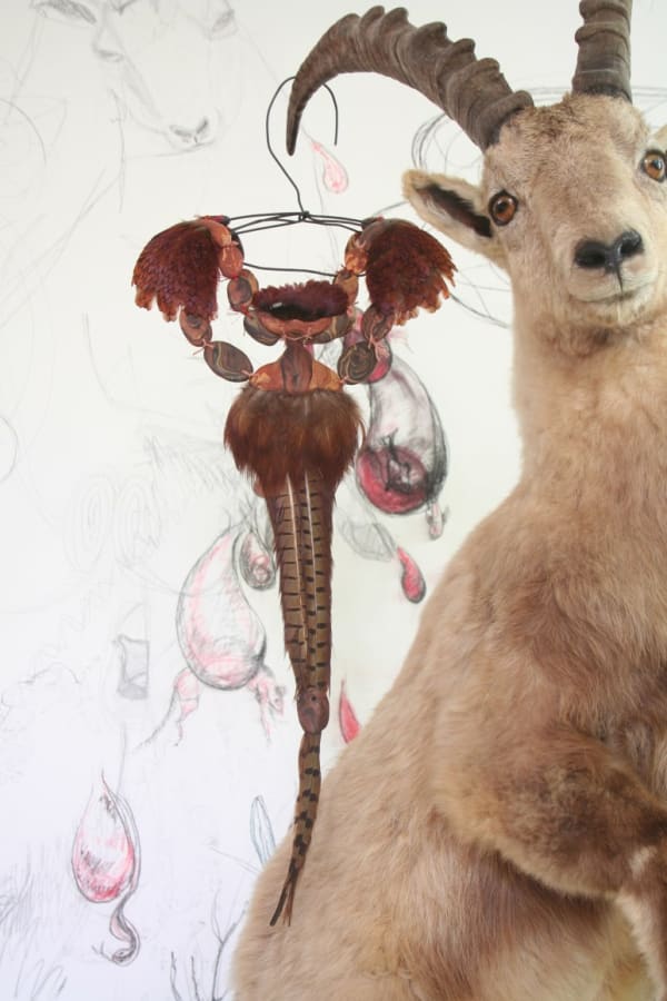 Pheasant Long Tail, 2018, necklace