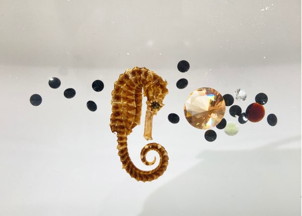 Ted Noten, Seahorse Kissing with Stones (detail), 2022