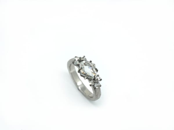 Todd Pownell, platinum ring set