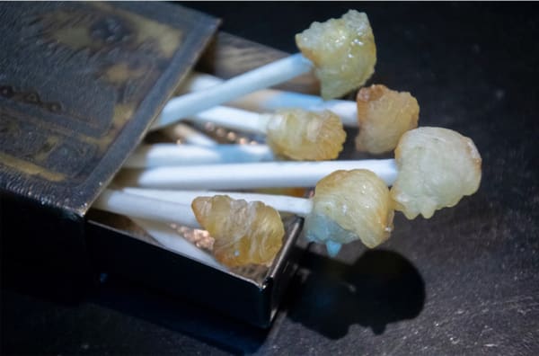 Ulrich Reithofer, Perfect Matches brooches