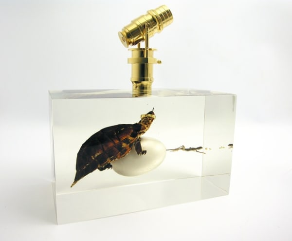 WhiteHot magazine of contemporary art, 25 Innovative Items We Want from Design Miami/Basel, Featuring Ted Noten