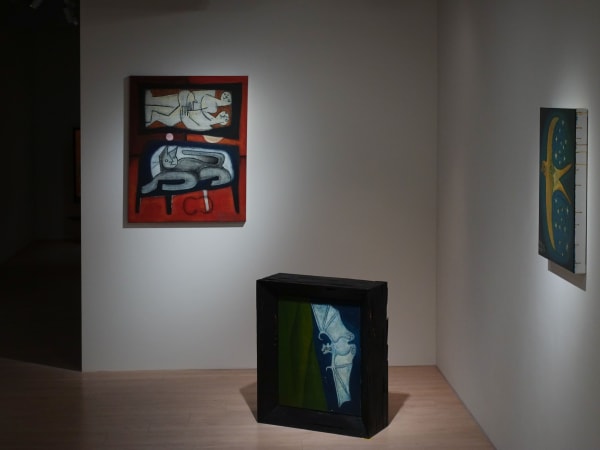 The Allegory Of The Cave Installation View 07