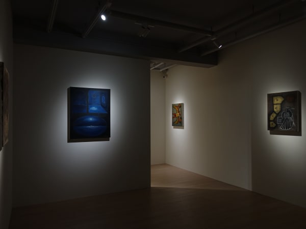 The Allegory Of The Cave Installation View 11