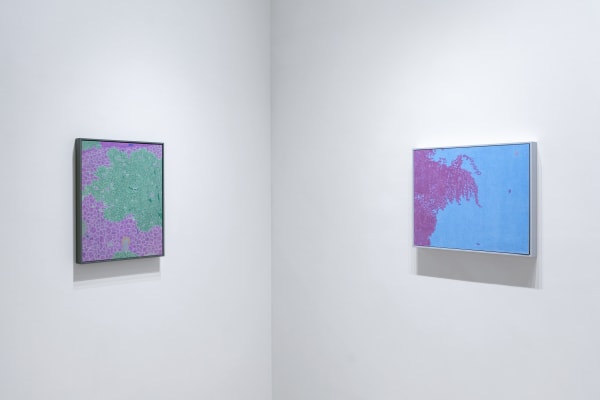 As The Mountain Slides Into The Sea Timothy Bair Solo Installation Shots 09