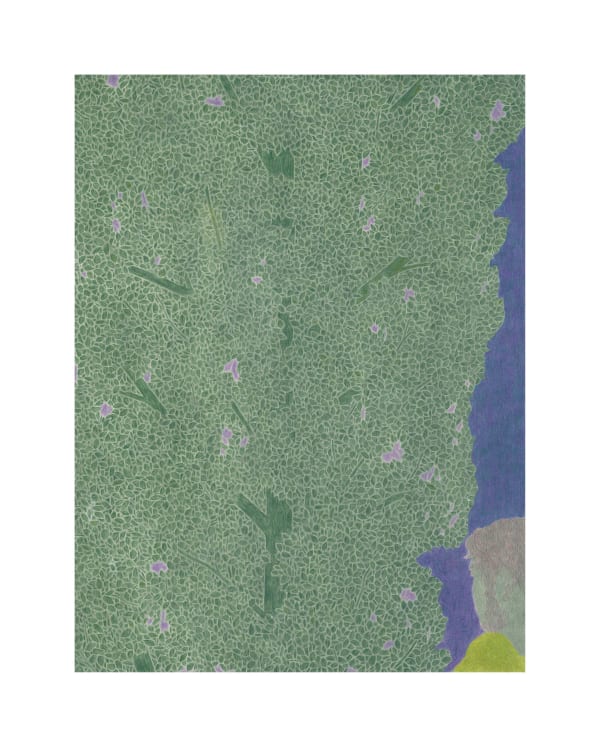 Timothy Bair｜Look Back｜2023-25｜Color Pencil on Paper Board 色鉛筆於紙板｜51 x 38.4 cm