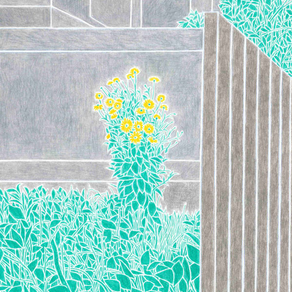Timothy Bair