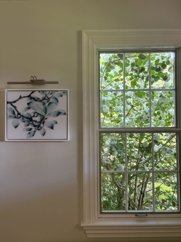 Artwork: Jackie Battenfield