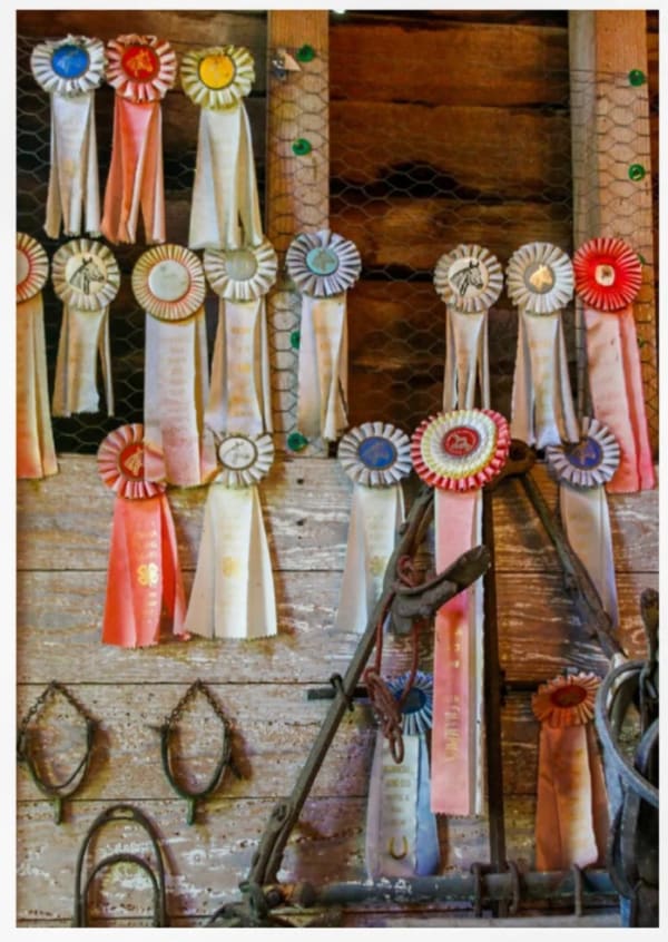 Lucy Gilbert - Charlottesville, 2020 (35mm), 2024