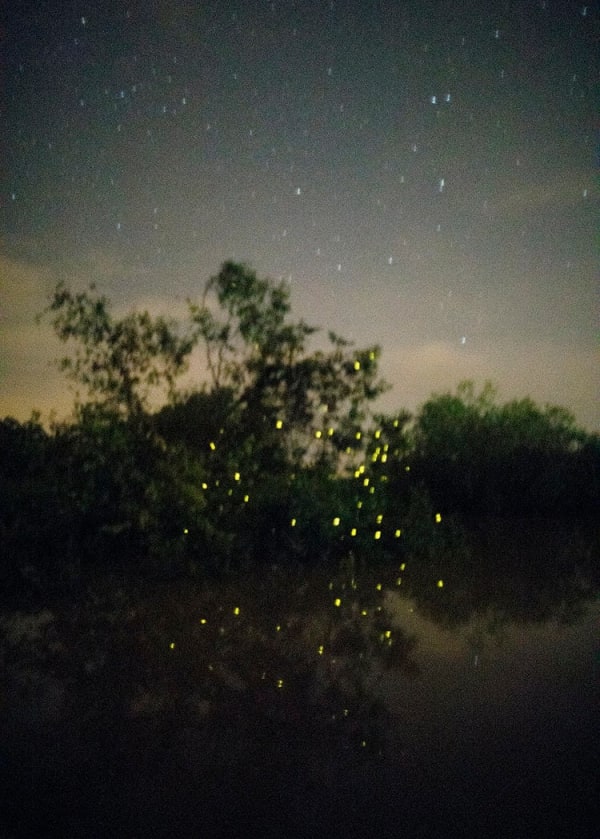 Elijah Gowin