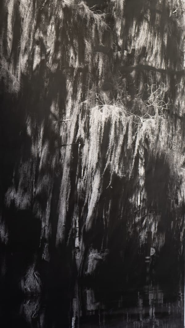 Caroline Minchew