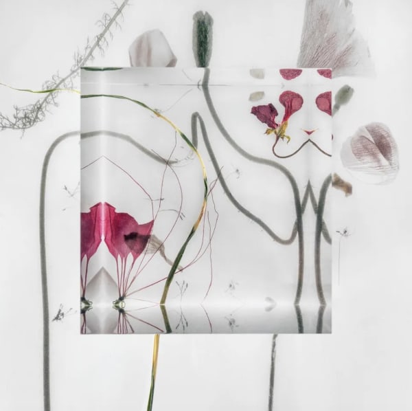 John Grant