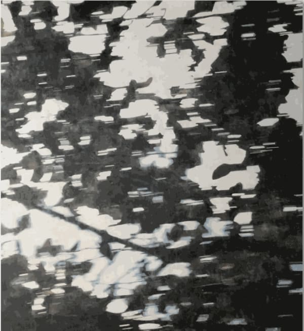 Alex Schuchard