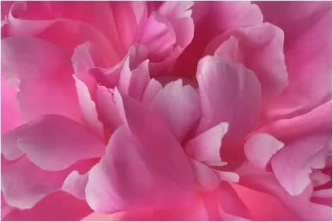 Poets A Group Exhibition