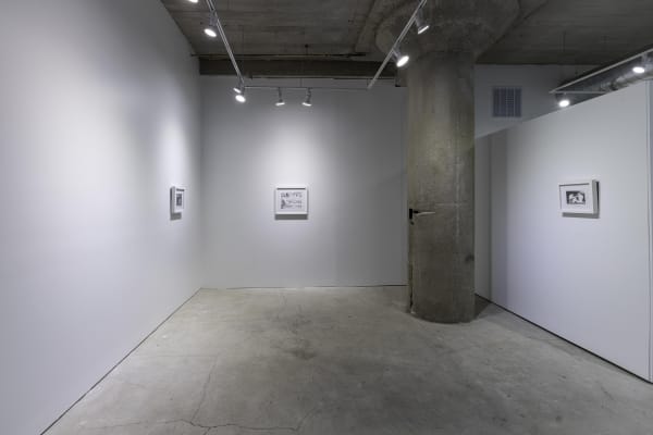 Birds Of No Feather 20