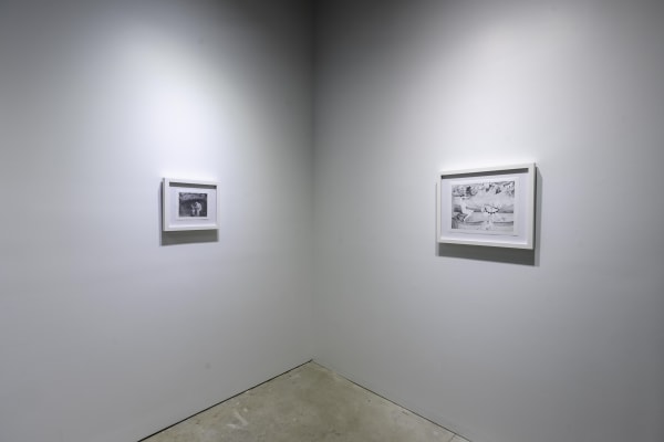 Birds Of No Feather 21