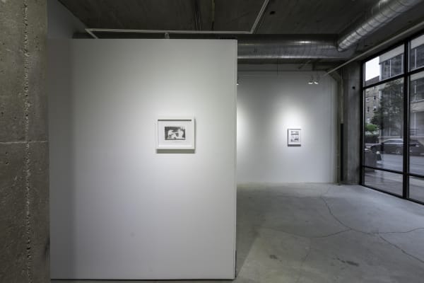 Birds Of No Feather 22