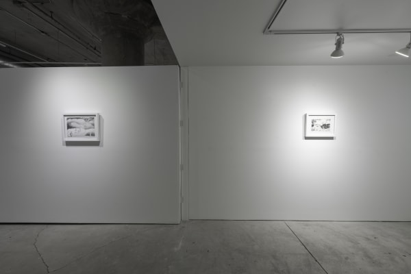 Birds Of No Feather 25