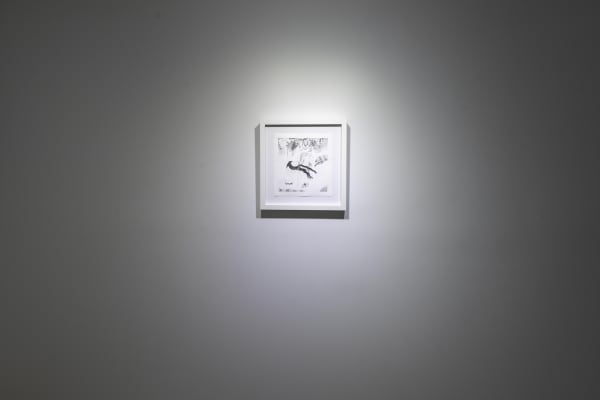 Birds Of No Feather 27