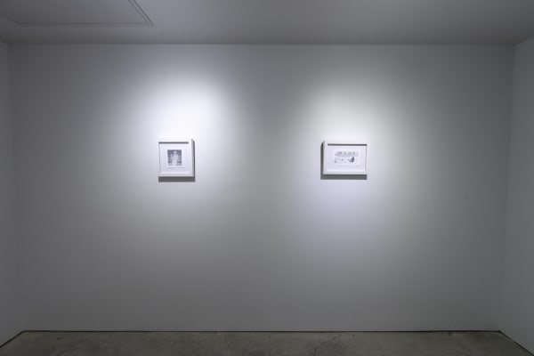 Birds Of No Feather 28