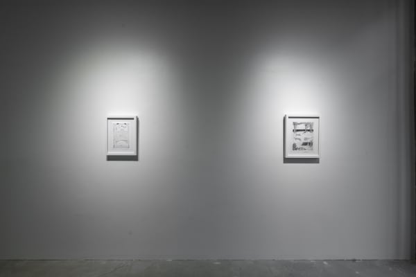 Birds Of No Feather 29