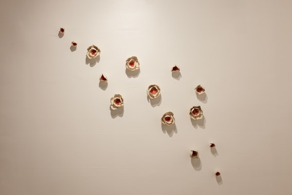 Povos Nov 2023 0004 Img 0797