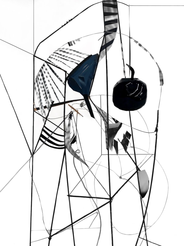 Yamini Nayar, Wing-Bone, 2018, Hahnemühle Bartya Pigment Print, 40 x 30 inches (101.6 x 76.2 cm), Edition of 5 + 2AP