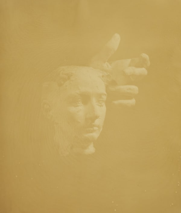 Christine Elfman, Mask of Camille Claudel, 2016, Amaranth on paper, 20 x 16 inches (50.8 x 40.6 cm), Edition of 3 + 2AP