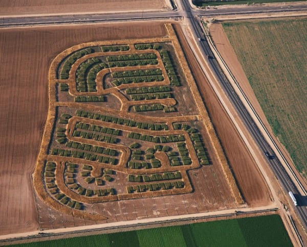 Matthew Moore, Rotations: Moore Estates 5, 2006, 35 acre project, sorghum, wheat, C-print, 49 1/2 x 61 1/2 inches (125.8 x 156.3 cm), Edition of 7