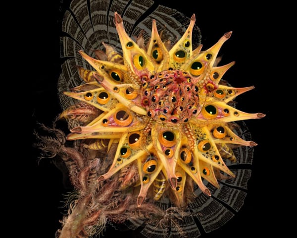 Rohini Devasher, Chimera II, detail, 2007