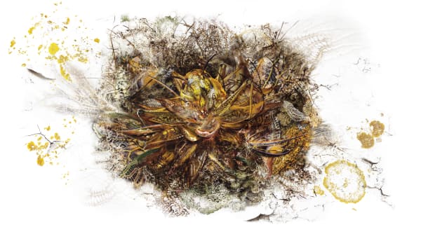 Rohini Devasher, Genetic Drift - Symbiont I, 2018