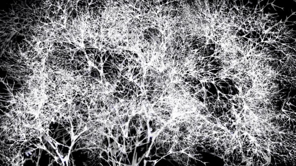 Rohini Devasher, Arboreal, 2011