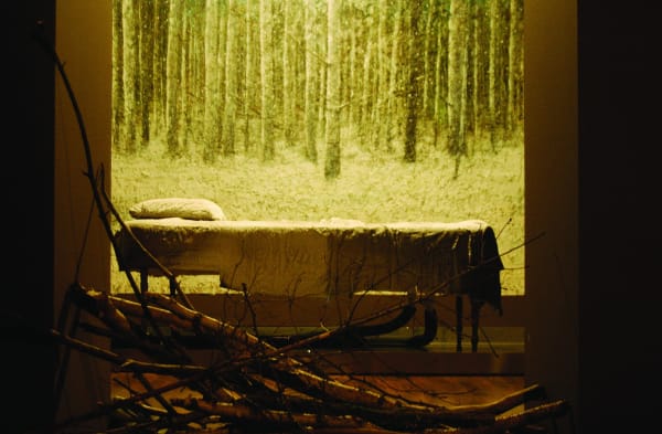 Enrique Martínez Celaya, Installation view, "Schneebett," Berlin Philharmonic, Berlin, Germany., 2004