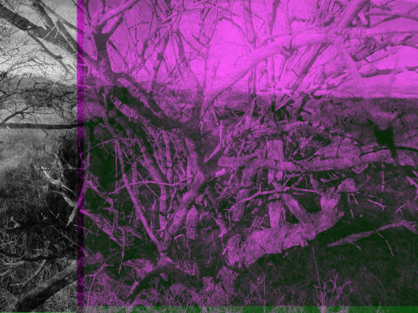 Julio César Morales, We are the Dead, 2013