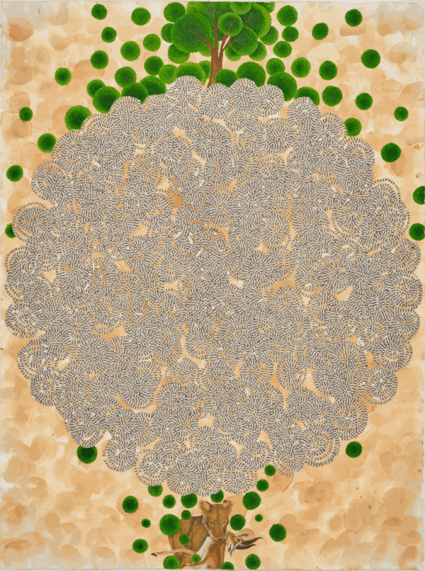 Ambreen Butt, Asadullah (9), 2019