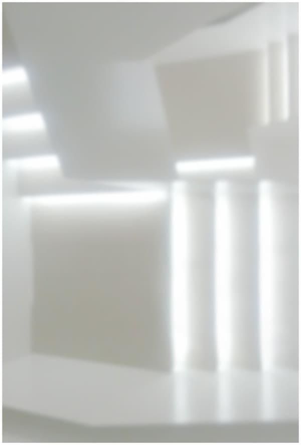 Eva Schlegel, Untitled 217, 2015, print on Hahnemuhle Butten, 79 1/2 x 53 3/4 inches (202 x 136.6 cm)