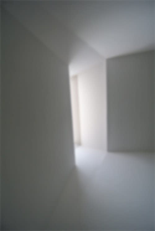 Eva Schlegel, Untitled (231), 2015