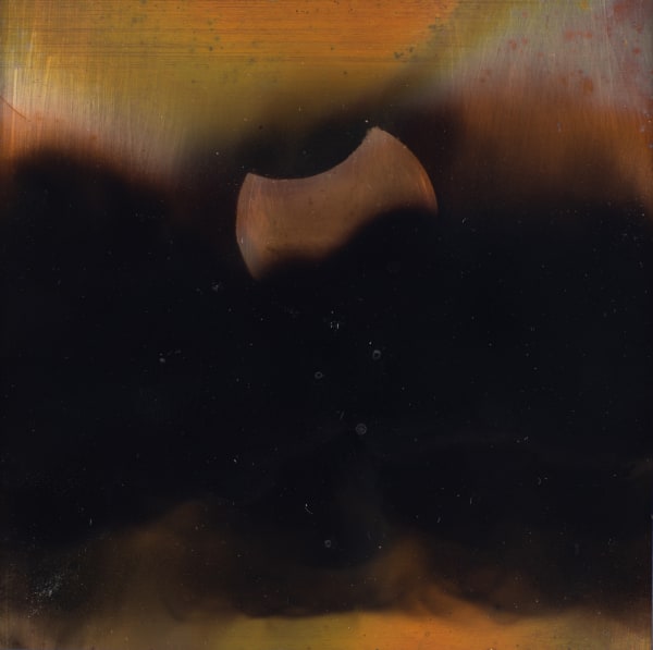 Rohini Devasher, Shadow Portrait , 2023