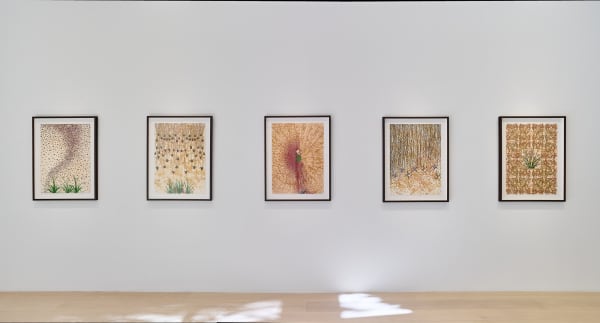 Ambreen Butt | Lay Bare My Arms