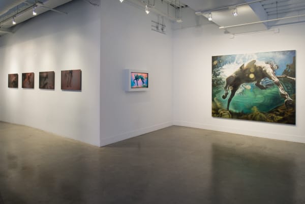 Ana Teresa Fernandez | Foreign Bodies