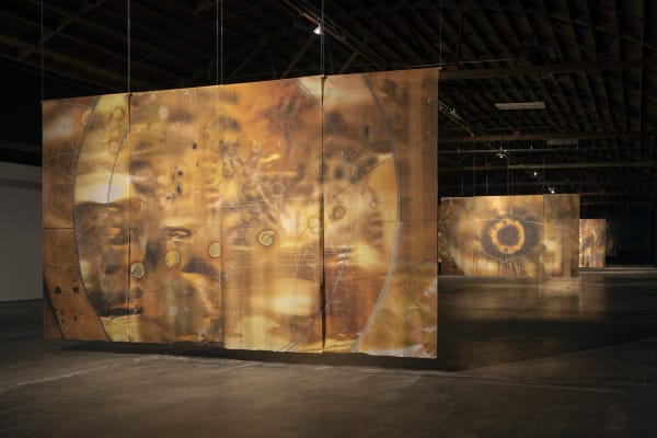 Installation view: Latent Fields, 2024