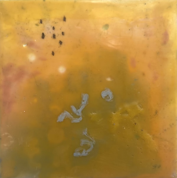 Joanna Kidney - Aubais 2