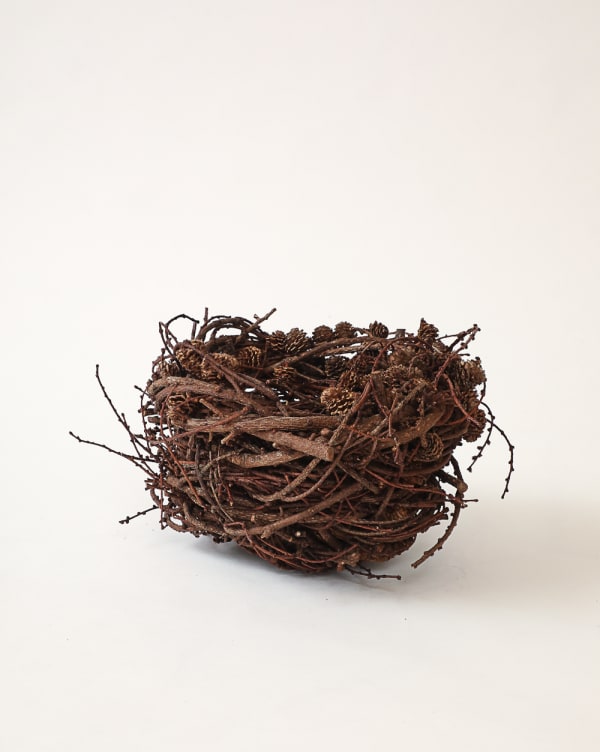 Joe Hogan, Larch Nest